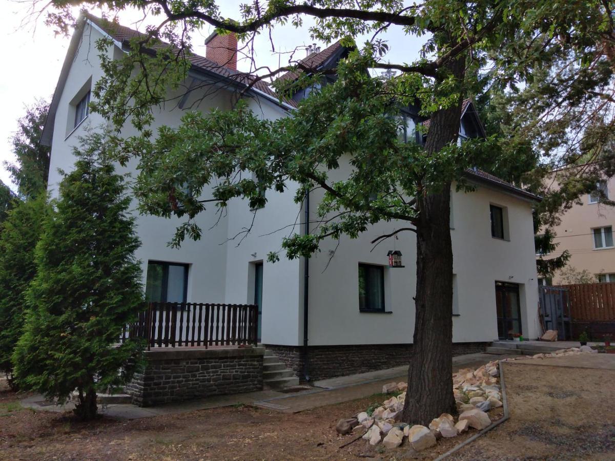 Diana Panzio Bed and Breakfast Matrafured Εξωτερικό φωτογραφία
