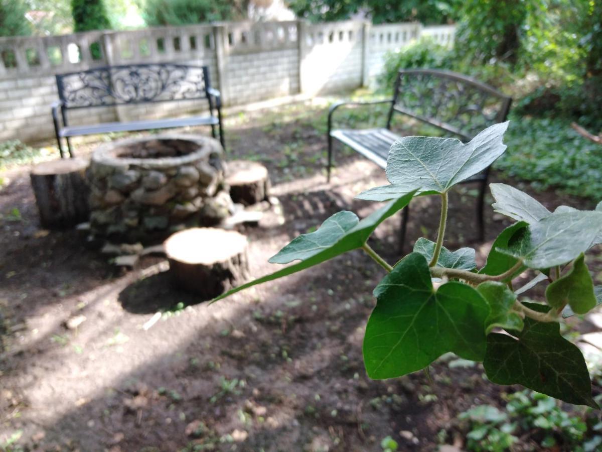 Diana Panzio Bed and Breakfast Matrafured Εξωτερικό φωτογραφία