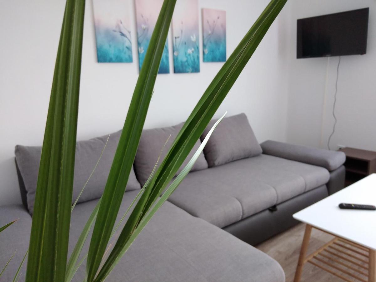 Diana Panzio Bed and Breakfast Matrafured Εξωτερικό φωτογραφία