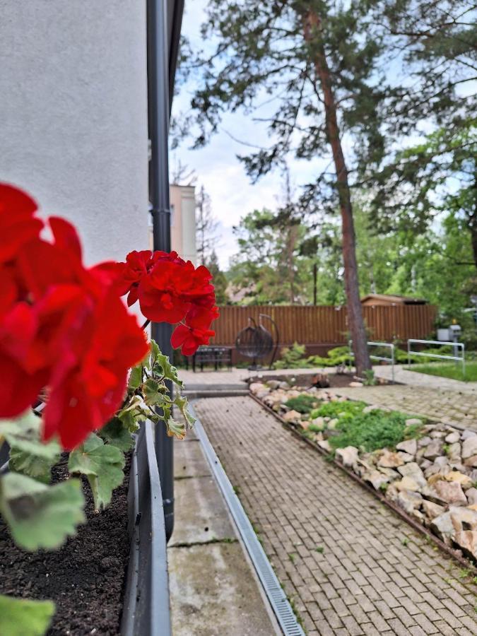 Diana Panzio Bed and Breakfast Matrafured Εξωτερικό φωτογραφία